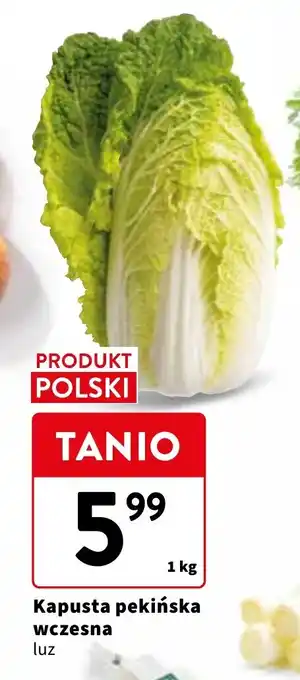 Intermarche Kapusta pekińska wczesna 1 kg oferta