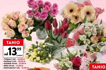 Intermarche Goździki bukiet oferta