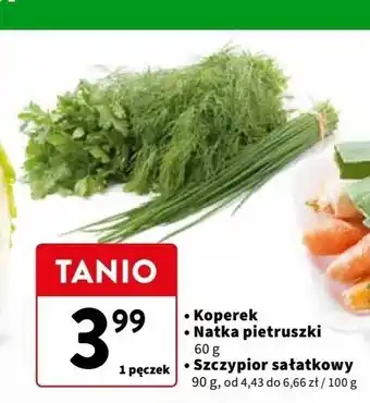 Intermarche Natka pietruszki oferta