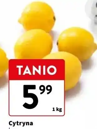 Intermarche Cytryny oferta