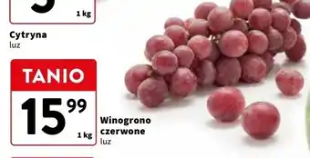 Intermarche Winogrona czerwone oferta