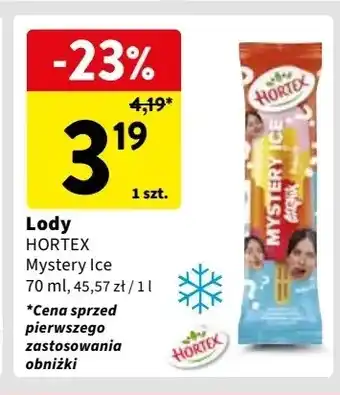 Intermarche Lód czajnik Hortex Mystery Ice oferta