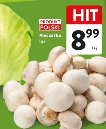 Intermarche Pieczarki oferta
