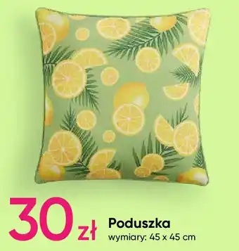 Pepco Poduszka 45 x cm oferta