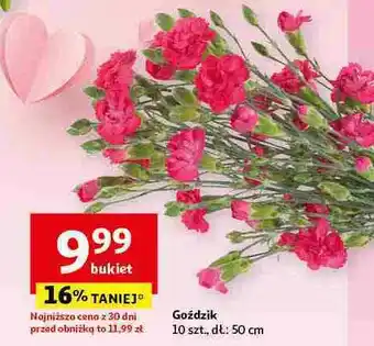 Auchan Gożdziki oferta