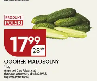 Chata Polska OGÓREK MAŁOSOLNY 1 kg oferta