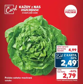 Kaufland Sałata masłowa Kaufland oferta