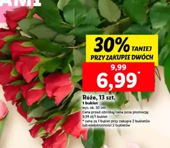 Lidl Róże, 13 szt. oferta