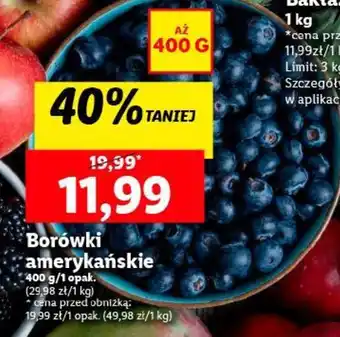 Lidl Borówki amerykańskie 400 g oferta