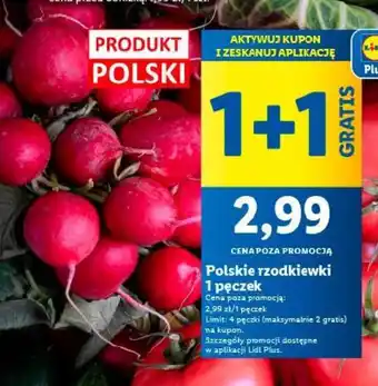 Lidl Polskie rzodkiewki 1 pęczek oferta