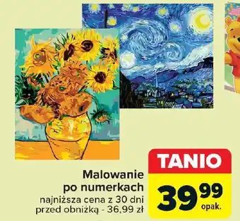 Carrefour Malowanie po numerkach oferta