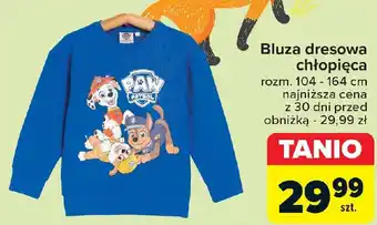 Carrefour Bluza dresowa chłopięca oferta
