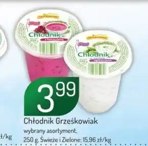 Avita Chłodnik Grześkowiak oferta