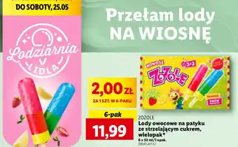 Lidl Lody wieloowocowe Mieszko Zozole oferta