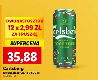 Lidl Piwo Carlsberg oferta
