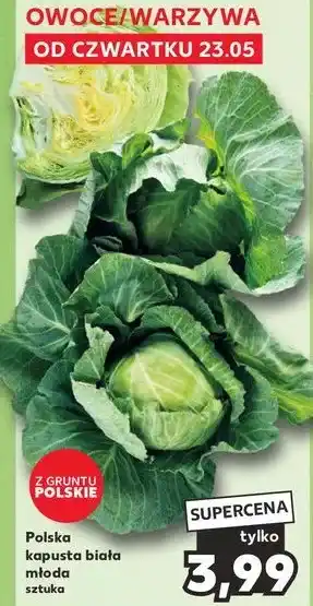 Kaufland Kapusta młoda polska oferta