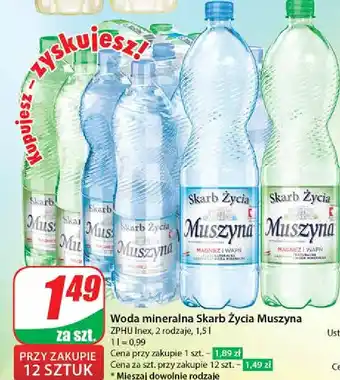 Dino Woda gazowana Muszyna Skarb Życia oferta