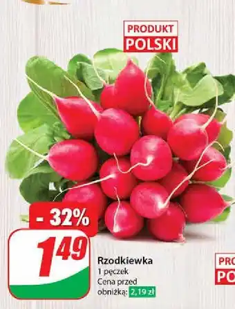 Dino Rzodkiewka oferta