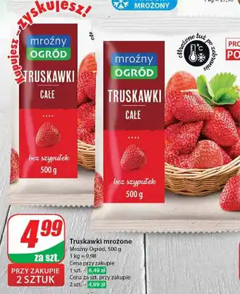 Dino Truskawki Mroźny Ogród oferta