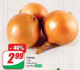 Dino Cebula oferta