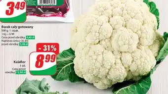 Dino Kalafior oferta