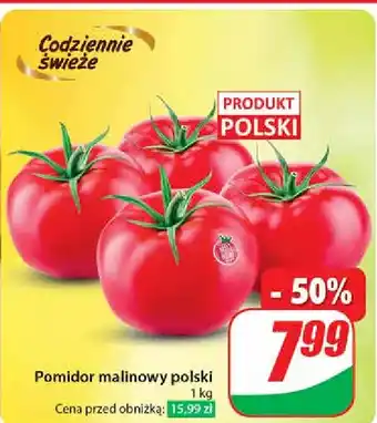 Dino Pomidory malinowe polska oferta
