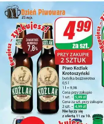 Dino Piwo Koźlak Krotoszyński oferta