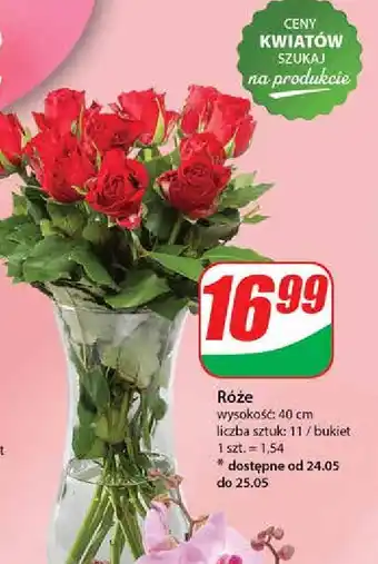 Dino Bukiet róż oferta