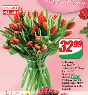 Dino Tulipany 35 cm oferta