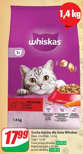 Dino Karma dla kota z wołowina Whiskas oferta