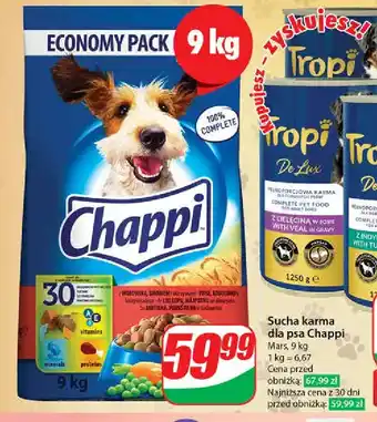 Dino Karma dla psa wołowina Chappi oferta