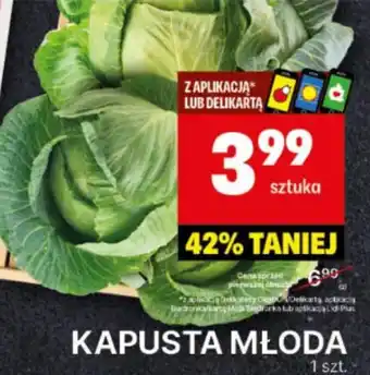 Delikatesy Centrum Kapusta młoda oferta