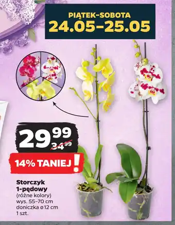 Netto Storczyk 1-pędowy oferta