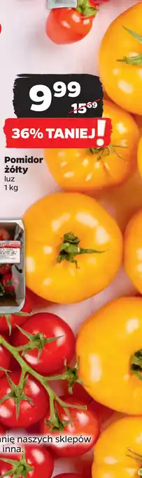 Netto Pomidor żółty oferta