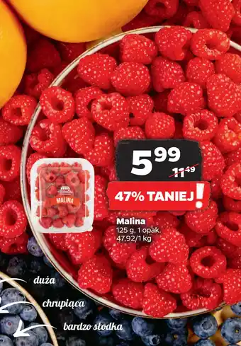 Netto Malina oferta