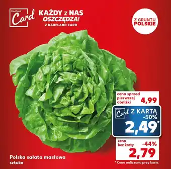 Kaufland Sałata masłowa Kaufland oferta