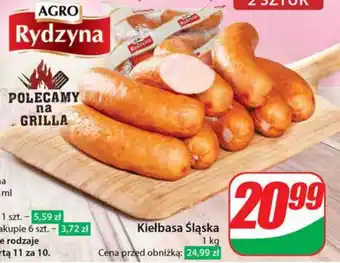 Dino Kiełbasa Agro Rydzyna oferta