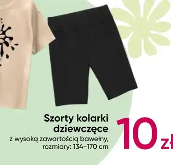 Kolarki