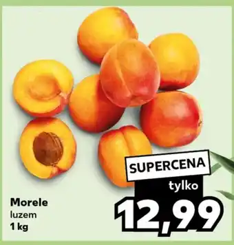 Kaufland Morele 1 kg oferta