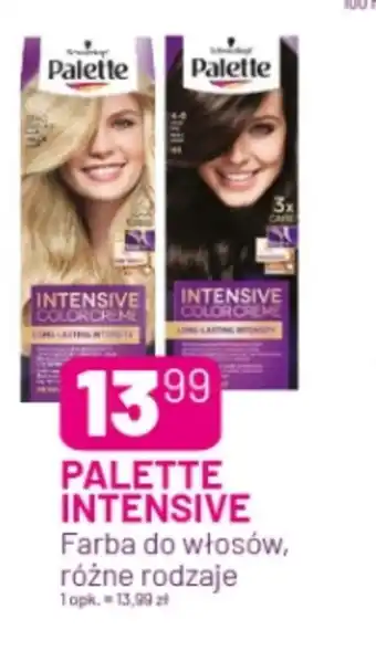 Koliber drogerie Farba do włosów Palette oferta