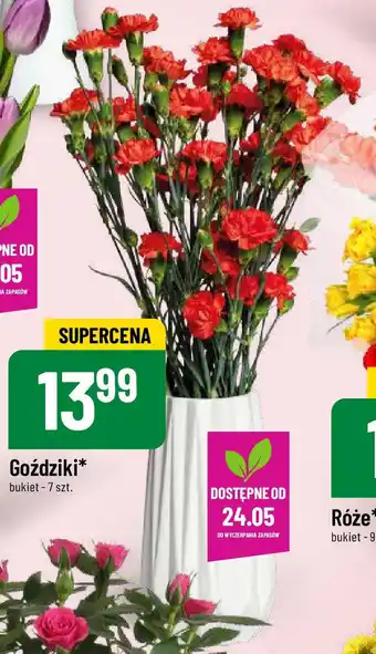 Polomarket Goździki 7 szt. oferta