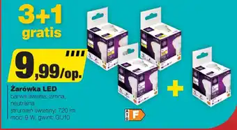 Bricomarche Żarówka LED oferta