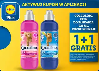 Lidl Płyn do płukania Coccolino oferta