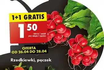 Biedronka Rzodkiewka oferta