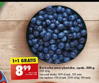 Biedronka Borówki amerykańskie oferta