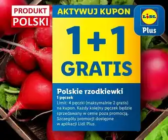 Lidl Rzodkiewka oferta