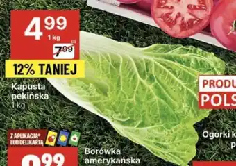 Kapusta pekińska 1 kg