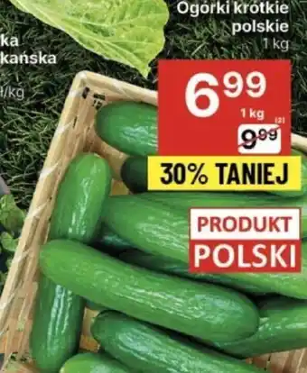 Delikatesy Centrum Ogórki krótkie polskie 1 kg oferta