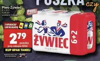 Delikatesy Centrum Piwo Żywiec 0,5l oferta
