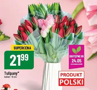Polomarket Tulipany oferta